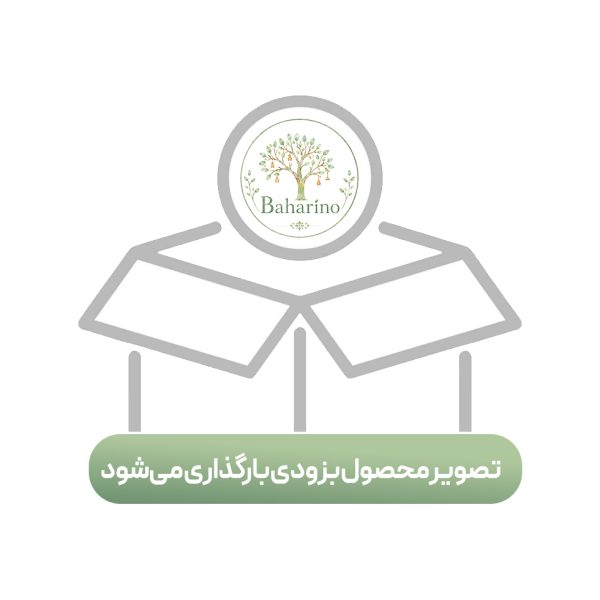 در انتظار تصویر محصول